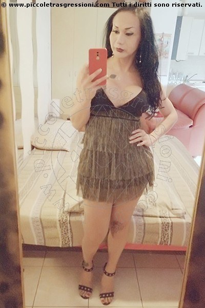 Foto selfie 78 di Adriana Paulett transexescort Paese