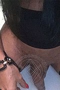 Foto selfie hot 1 di Meg Castellani transexescort Cinisello balsamo