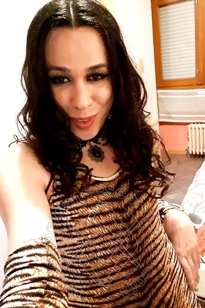 Foto selfie 9 di Larissa Cardoso transexescort Bolzano