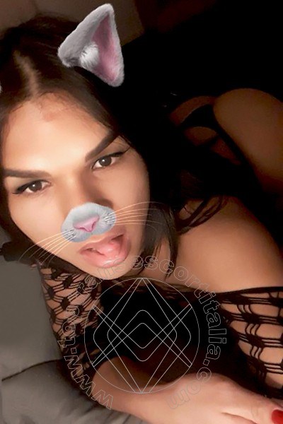 Foto selfie 66 di Iris Bachi transexescort Reggio Emilia