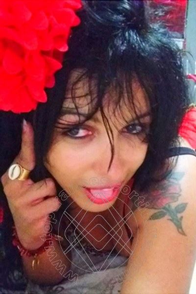 Foto selfie 128 di Melissa Baiana transexescort Napoli