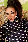 Foto selfie 2 di Amanda transexescort L'aquila