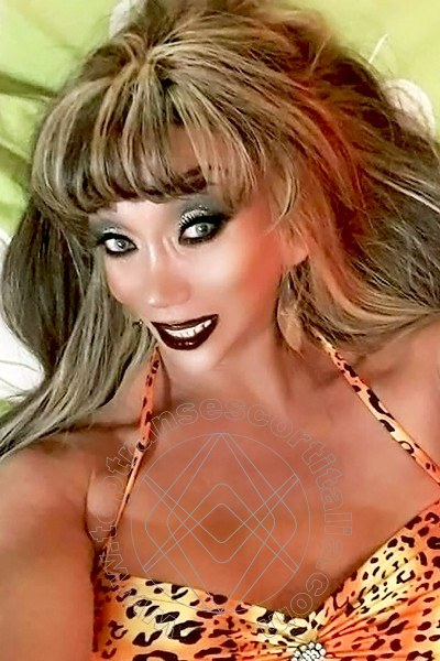 Foto selfie 4 di Amanda transexescort L'aquila