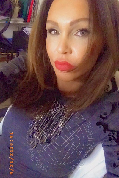 Foto selfie 315 di Valeria transexescort Treviso