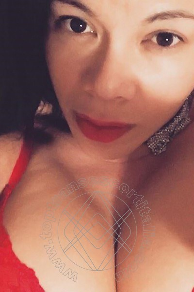 Foto selfie 168 di Elena transexescort Lignano Sabbiadoro