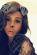 Foto selfie 1 di Ts Amina Orient Xl transexescort Pforzheim