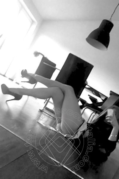 Foto selfie 8 di Svenja transexescort Ginsheim-gustavsburg