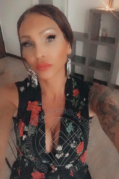 Foto selfie 252 di Valeria transexescort Treviso
