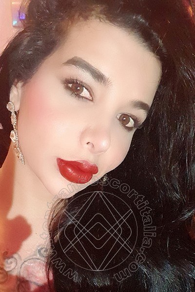 Foto selfie 16 di Afrodita transexescort Roma