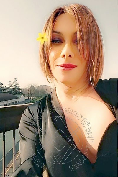 Foto selfie 14 di Ambra Tx Italiana transexescort Udine
