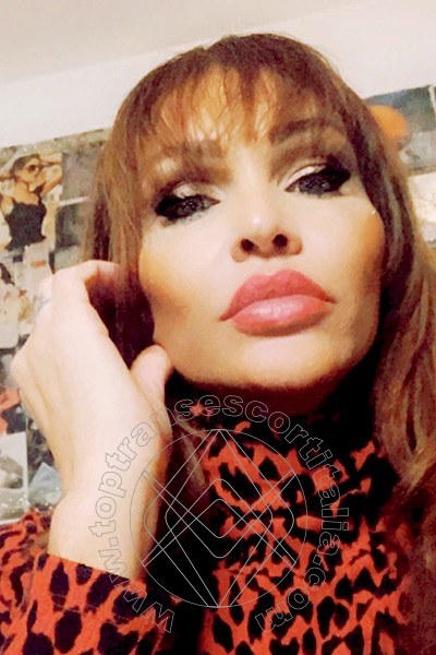 Foto selfie 235 di Valeria transexescort Treviso