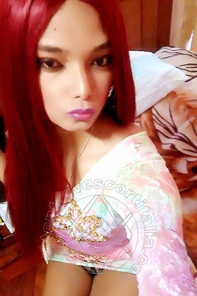 Foto selfie 24 di Ariadna transexescort Málaga