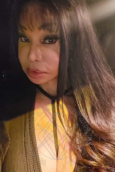 Foto selfie 15 di Luciana Hot transexescort Bergamo