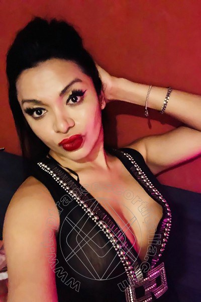 Foto selfie 26 di Aida Armani transexescort Lido Di Savio