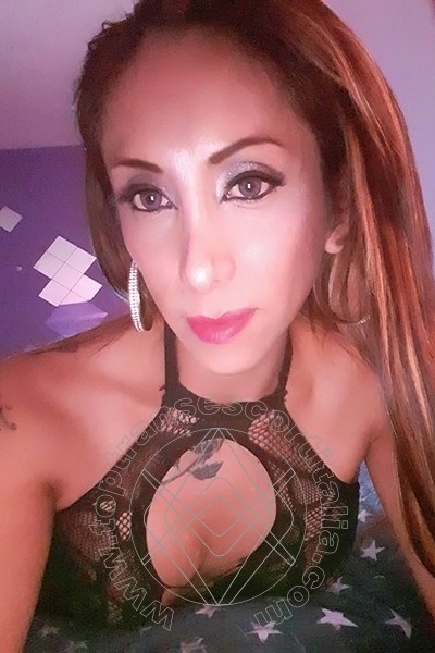 Foto selfie 36 di Leyla transexescort Viareggio