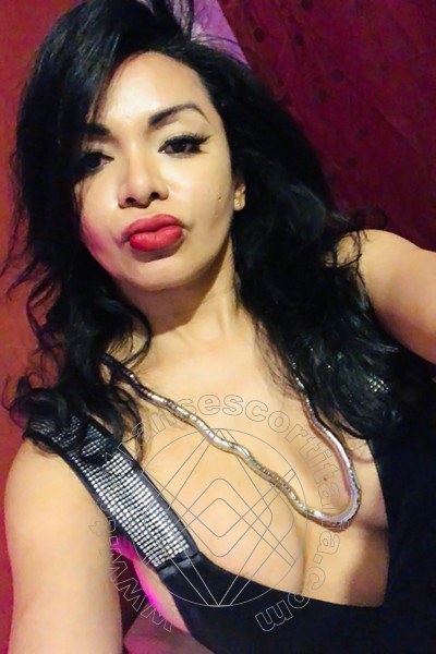 Foto selfie 15 di Aida Armani transexescort Lido Di Savio