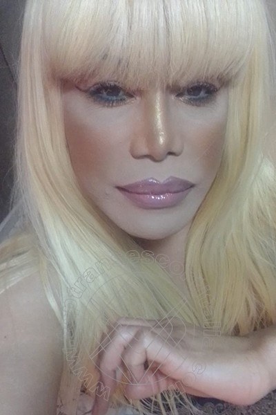 Foto selfie 737 di Nicole Vip Venturiny transexescort Milano