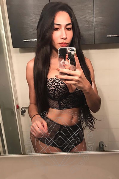 Foto selfie 36 di Natyelle Ninfeta transexescort Padova