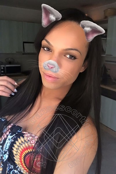 Foto selfie 102 di Dior transexescort Genova