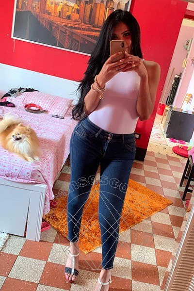 Foto selfie 17 di Ariadna transexescort Roma