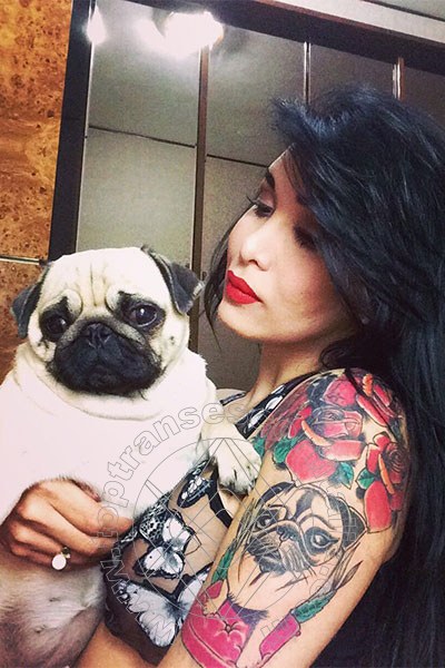 Foto selfie 79 di Kettley Lovato transexescort Torino