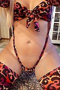Foto selfie 2 di Gisela transexescort Civitanova marche