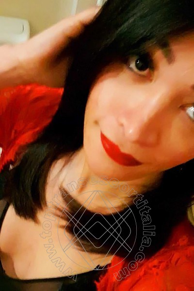 Foto selfie 86 di Patricia Ginnari transexescort Udine