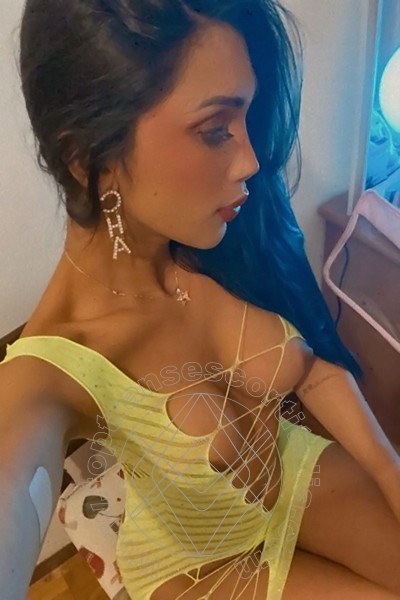 Foto selfie 19 di Graziella Farias transexescort Ospitaletto