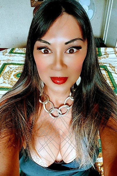 Foto selfie 18 di Vanessa transexescort Campi Bisenzio