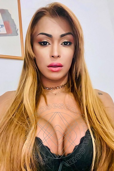 Foto selfie 32 di Tiffany Oliveira transexescort Roma