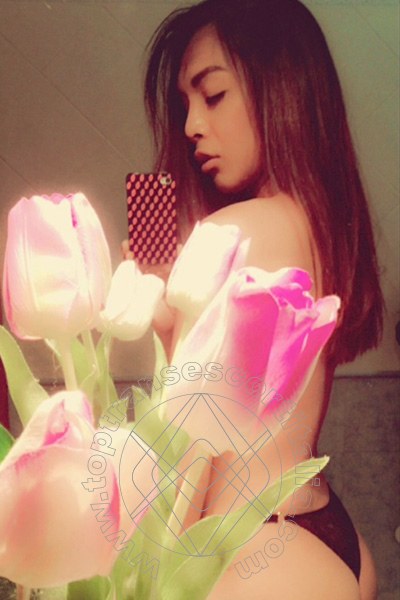 Foto selfie 19 di Mulan Asiatica transexescort Genova