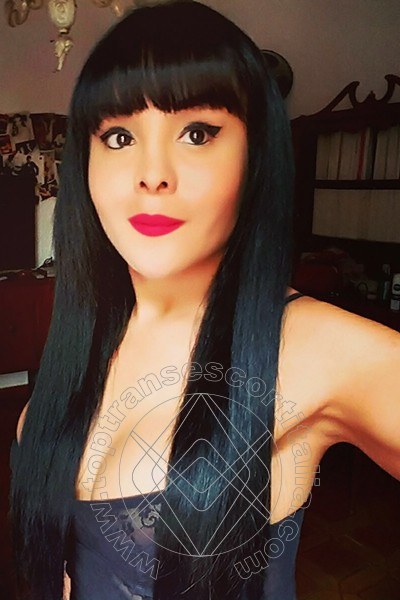 Foto selfie 20 di Morena Tx transexescort Como