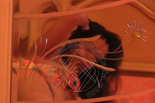 Foto selfie 51 di Belen transexescort Torino