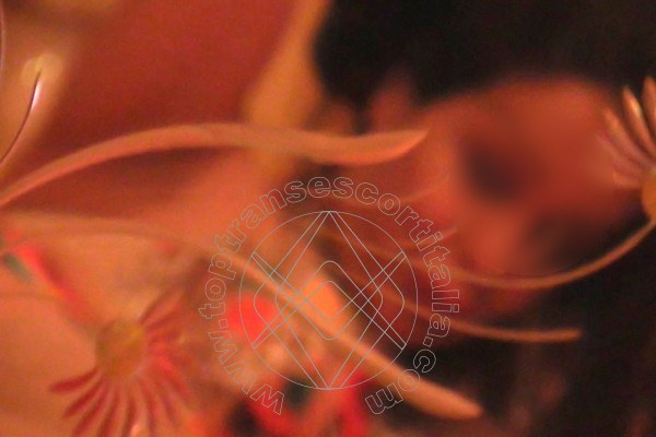 Foto selfie 50 di Belen transexescort Torino