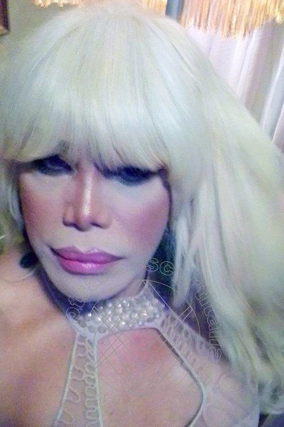 Foto selfie 670 di Nicole Vip Venturiny transexescort Milano