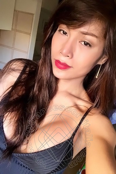 Foto selfie 60 di Liisa Orientale Asiatica Ladyboy transexescort Pordenone