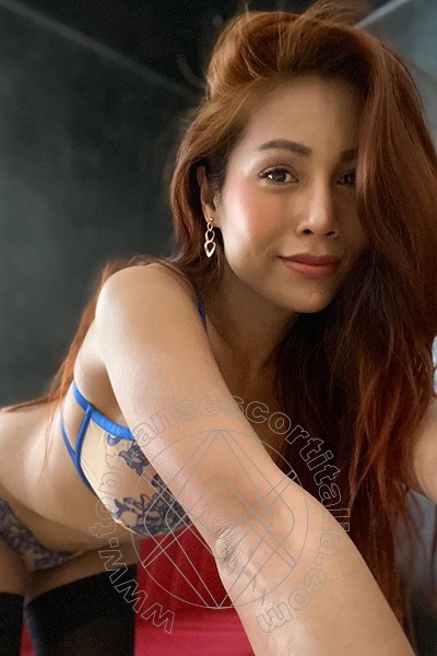 Foto selfie 49 di Liisa Asiatica Ladyboy transexescort Molfetta