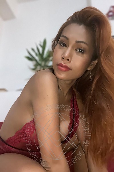 Foto selfie 25 di Liisa Asiatica Ladyboy transexescort Molfetta