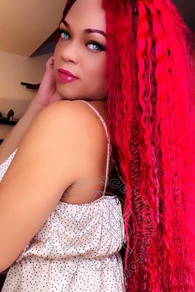 Foto selfie 30 di Dior transexescort Genova