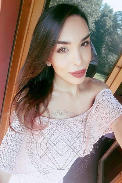 Foto selfie 82 di Fernanda Tavares transexescort Reggio Emilia