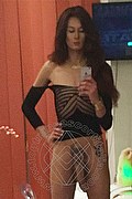 Foto selfie hot di Miranda Pinocchio Pornostar transexescort Genova
