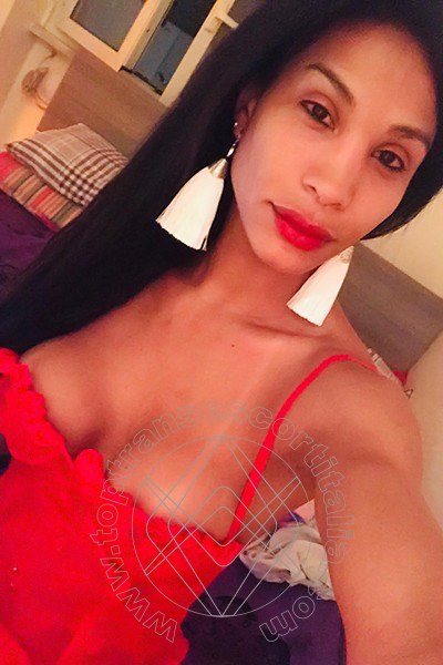 Foto selfie 65 di Mikaella Pimentell Pornostar transexescort Roma