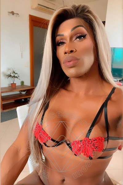 Foto selfie 26 di Antonella Mantovanny transexescort Piacenza