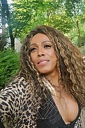 Foto selfie 2 di Paolina Mulatta transexescort Mestre