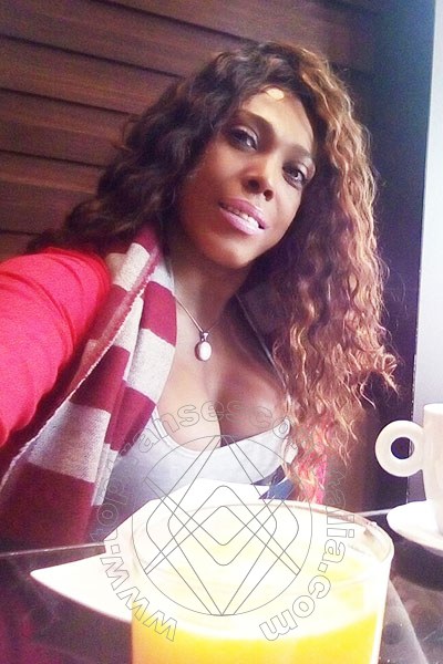 Foto selfie 19 di Paolina Mulatta transexescort Mestre