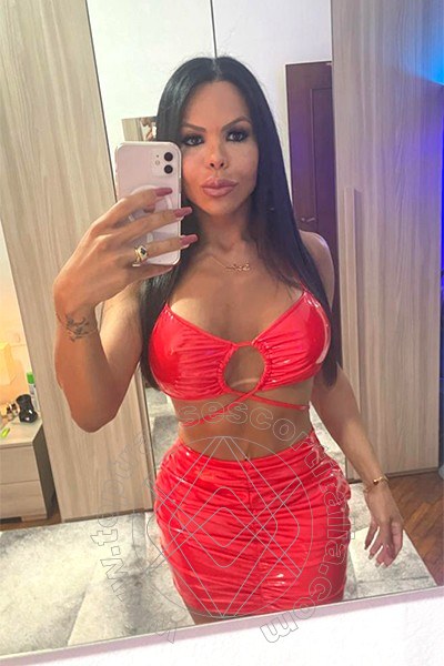 Foto selfie 30 di Eva B transexescort Milano