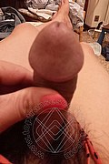 Foto selfie hot 2 di Ladyboy Carlina transexescort Torino