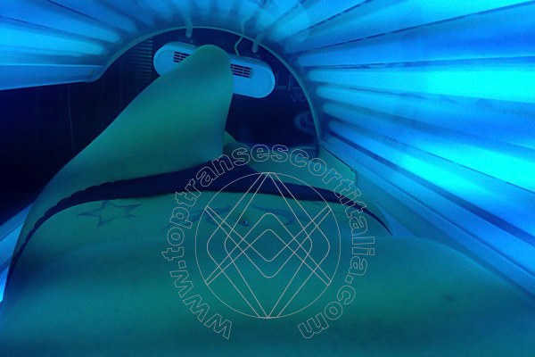 Foto selfie 783 di Valeria transexescort Treviso