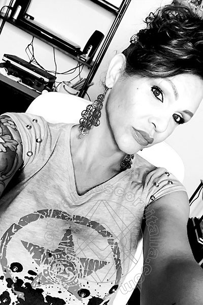 Foto selfie 603 di Valeria transexescort Treviso