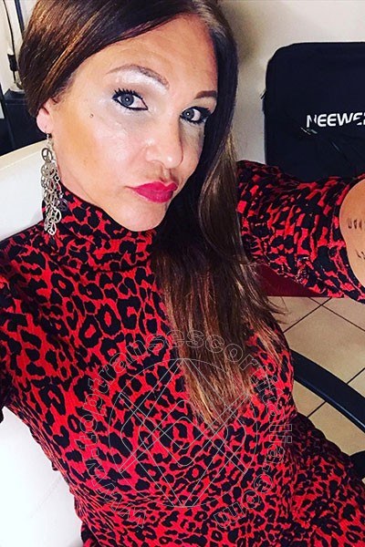 Foto selfie 567 di Valeria transexescort Treviso